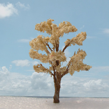 model trees